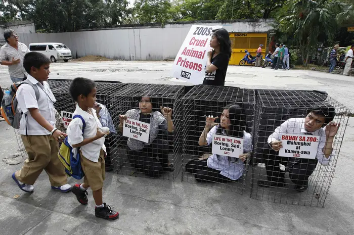 ילדים עוברים ליד הפגנה של ארגון למען חיות