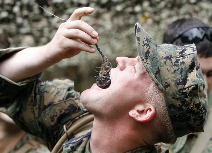 חייל אמריקאי אוכל עקרב במהלך תרגיל צבאי בתאילנד