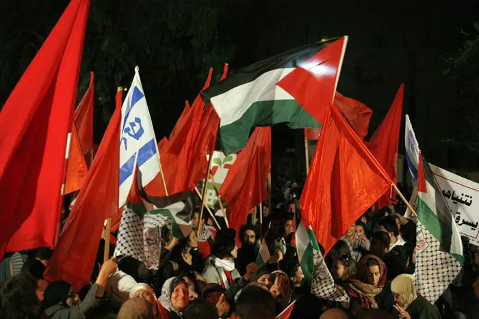 המפגינים נושאים דגלי פלסטין