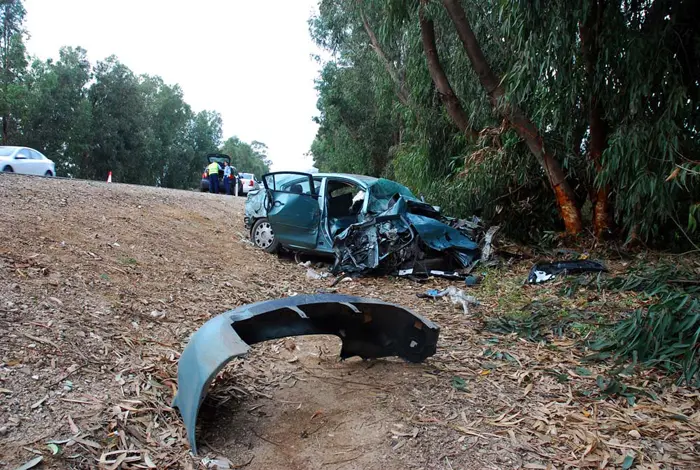 מחקר תאונות הדרכים תופס תאוצה בשנים האחרונות