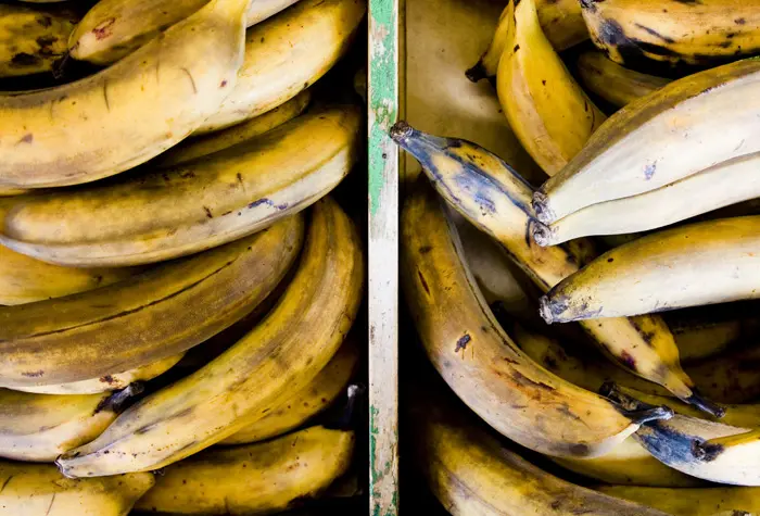 לפי ארגון מגדלי פירות, נשרפו 150-200 דונם של מטעי בננות בבעלות בית אורן