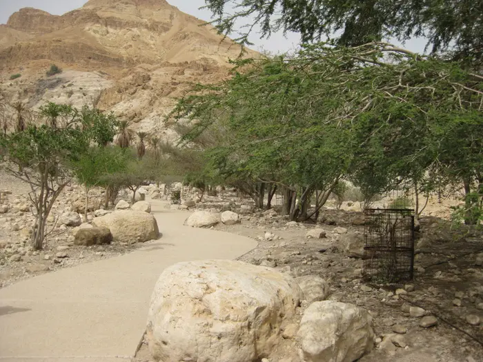 גן לאומי קומראן גם בשעות הערב