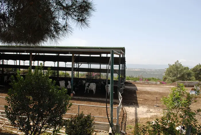 נדרשו לגוון במקורות ההכנסה