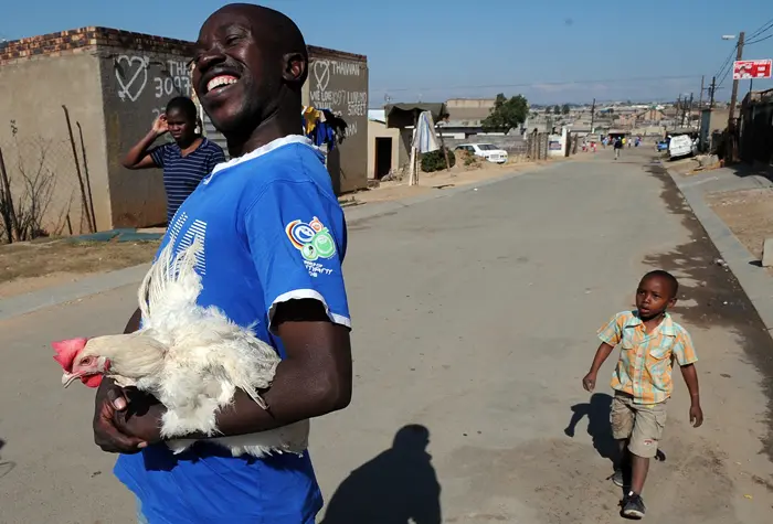 אזרח דרום אפריקאי עם תרנגולת