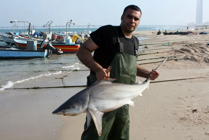 "לא כדאי לשחות בקרבתו"