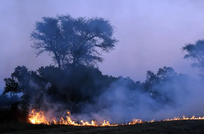 שריפה בשדה בדרום אפריקה