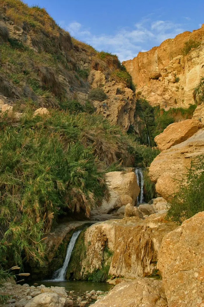 בשעות החמות, מתרכזים התיירות במקומות בהם ישנה אפשרות לרחצה. עין גדי