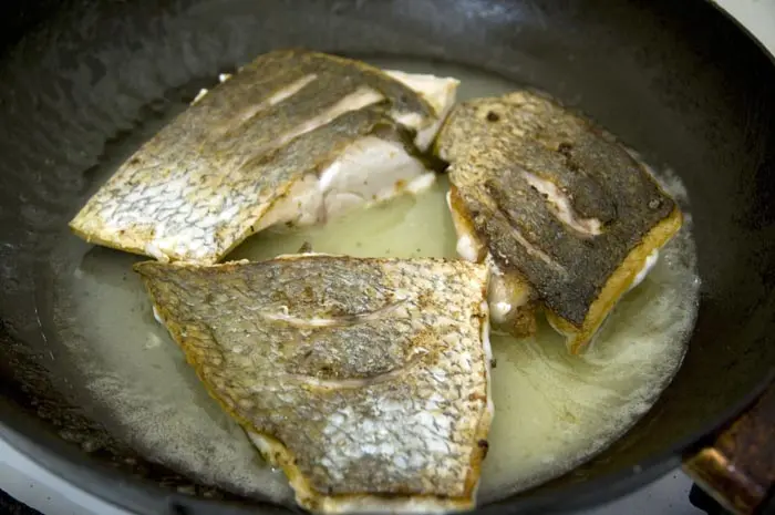 הדגים מכילים חומצת שומן מסוג אומגה 3