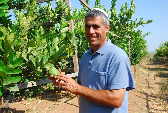 לא מוותר על החלום