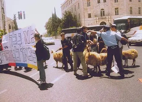 ההפגנה בכיכר פאריס בירושלים
