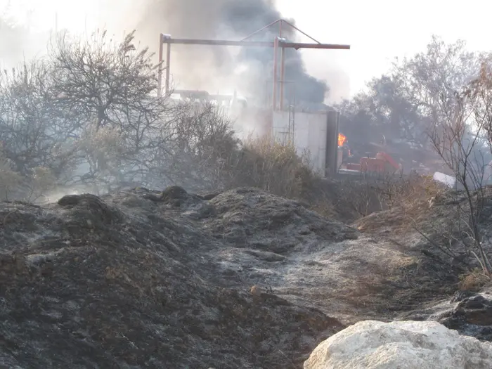 המשטרה ואנשי הכיבוי החליטו בעצה אחת לפנות את קיבוץ בית אורן, את מלון יערות הכרמל ואת חוות הכרמל