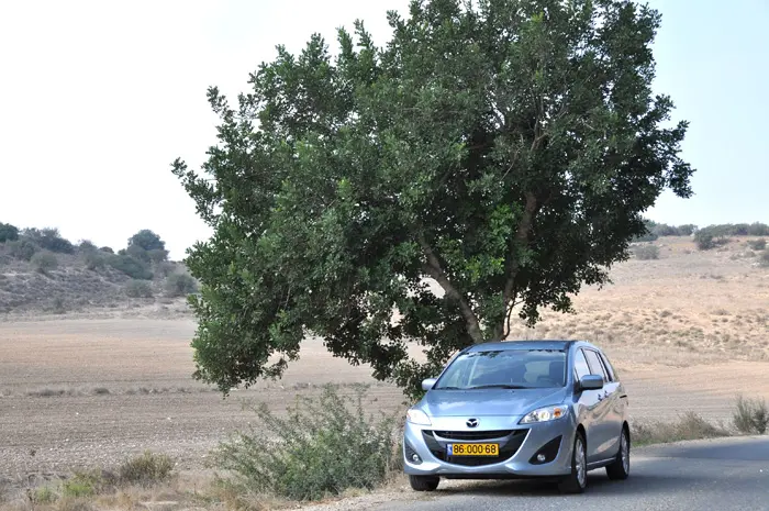 מיניוואנים יודעים להתנהג, בייחוד אם קוראים להם מאזדה 5