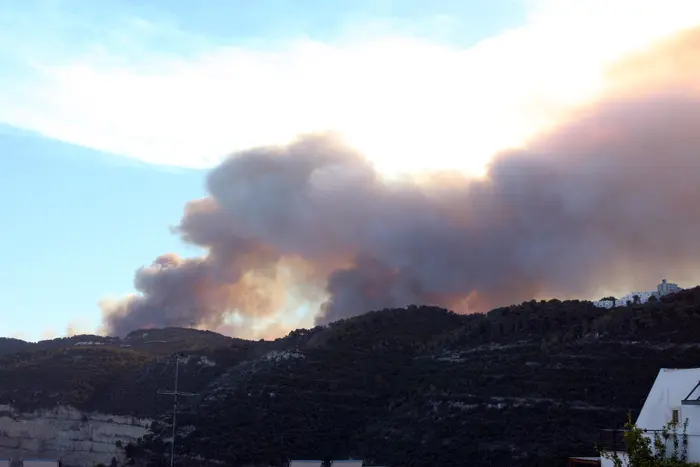 "אני חושב שהם פועלים בצורה יוצאת מן הכלל, בגבורה, במסירות ובאחריות ועוד מלאכתם לפניהם"