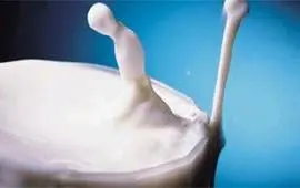 כוס חלב