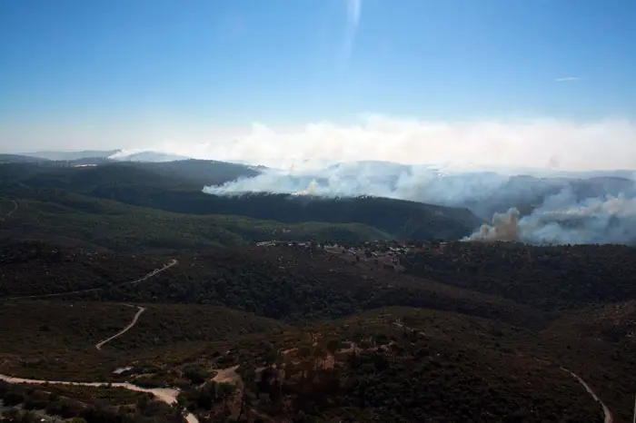 "אנשים נתלים במונח הזה, 'אסון לאומי', אומרים שהם פוחדים מריח השריפה ומהעשן שיפגע בילדים"