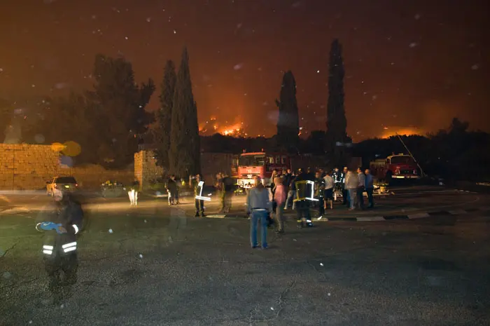 המדינה תצטרך להשקיע כספים רבים בשיקום אזור יערות הכרמל והיישובים בסביבה