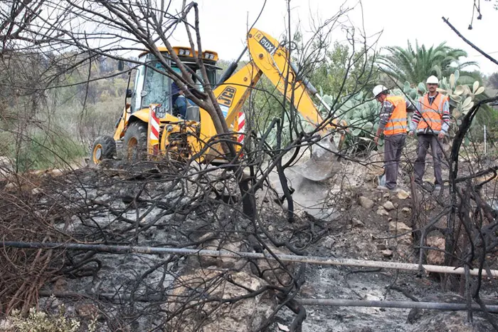 אהרונוביץ': "לא חיכינו לדו"ח הסופי והארגונים החלו באופן מיידי ביישום שיטתי של הלקחים"