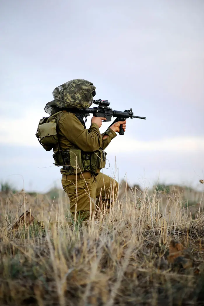 "פגיעה ביציבות במזרח התיכון"