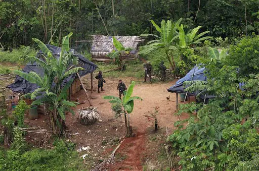 פשיטה של משטרת הסמים על כפר ליד שדה קוקה בקולומביה, השבוע