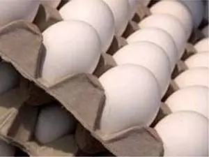 החל ממחר קרטון ביצים יעלה 23.92 שקלים
