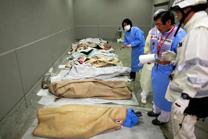גופות במרתף בית החולים של הצלב האדום ביפן, 13 במרץ 2011