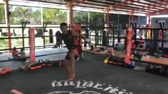 Land of the art of eight limbs