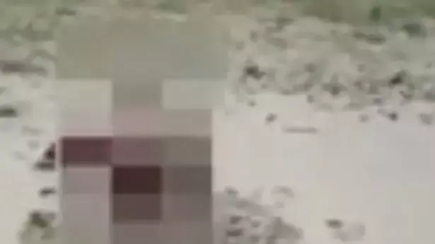 זוג נתפס מקיים יחסי מין על החוף - לעיני תיירים המומים - וואלה חדשות