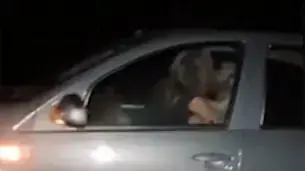 קיימו יחסי מין במהלך נסיעה במהירות 112 קמ"ש - וואלה חדשות