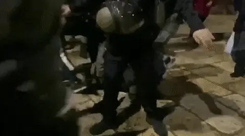 תיעוד: שוטרי מג"ב מכים חשוד במהלך מעצר בהר הבית - וואלה חדשות