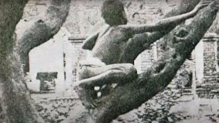 הכירו את מוגלי האמיתי שגדל עם זאבים וסירב להיות אנושי - וואלה חדשות