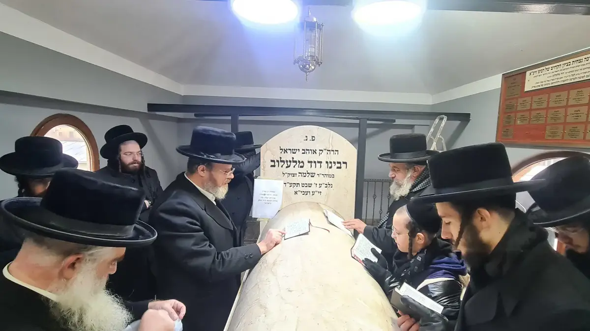 שובה ישראל: הילולת הרה