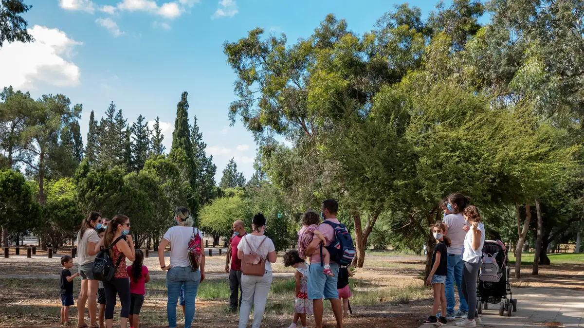יערות בישראל: הפתרון שיאפשר להגיע ליערות בארץ בלי רכב - וואלה תיירות