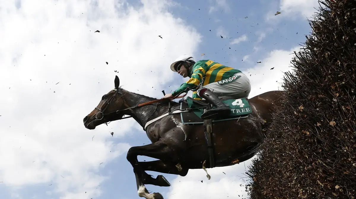 3 horses were killed in a race in England, the trainer blamed "It's