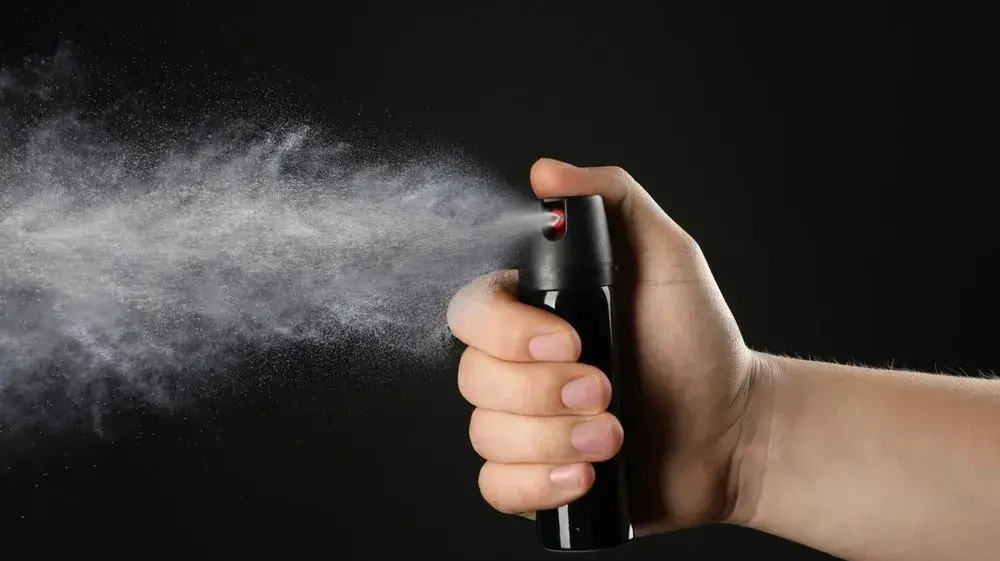 A passenger peppersprayed the plane and the pilot had to land