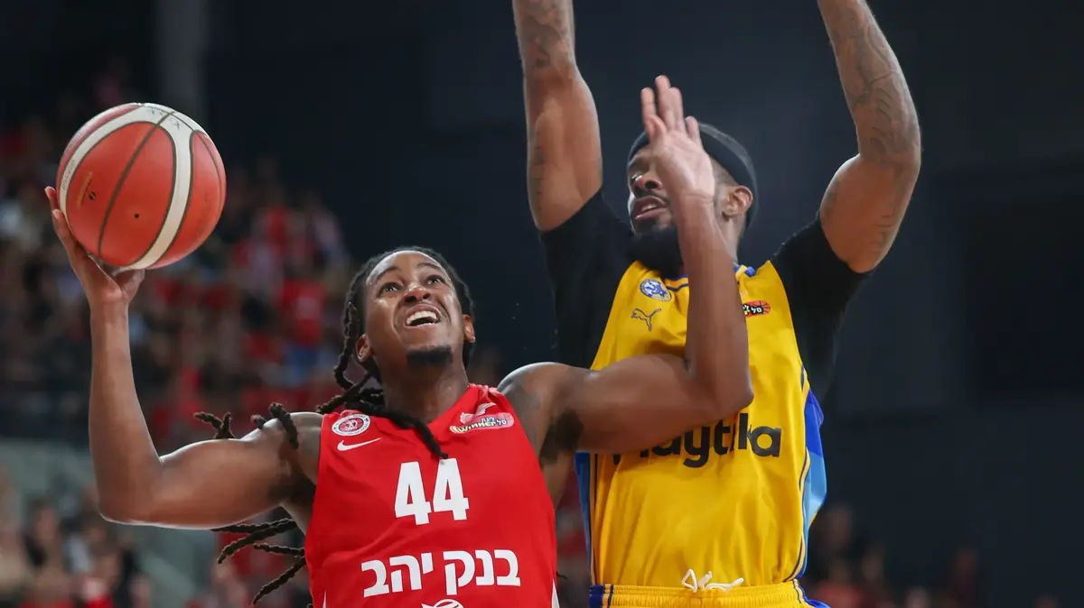 ארי שטיינברג: