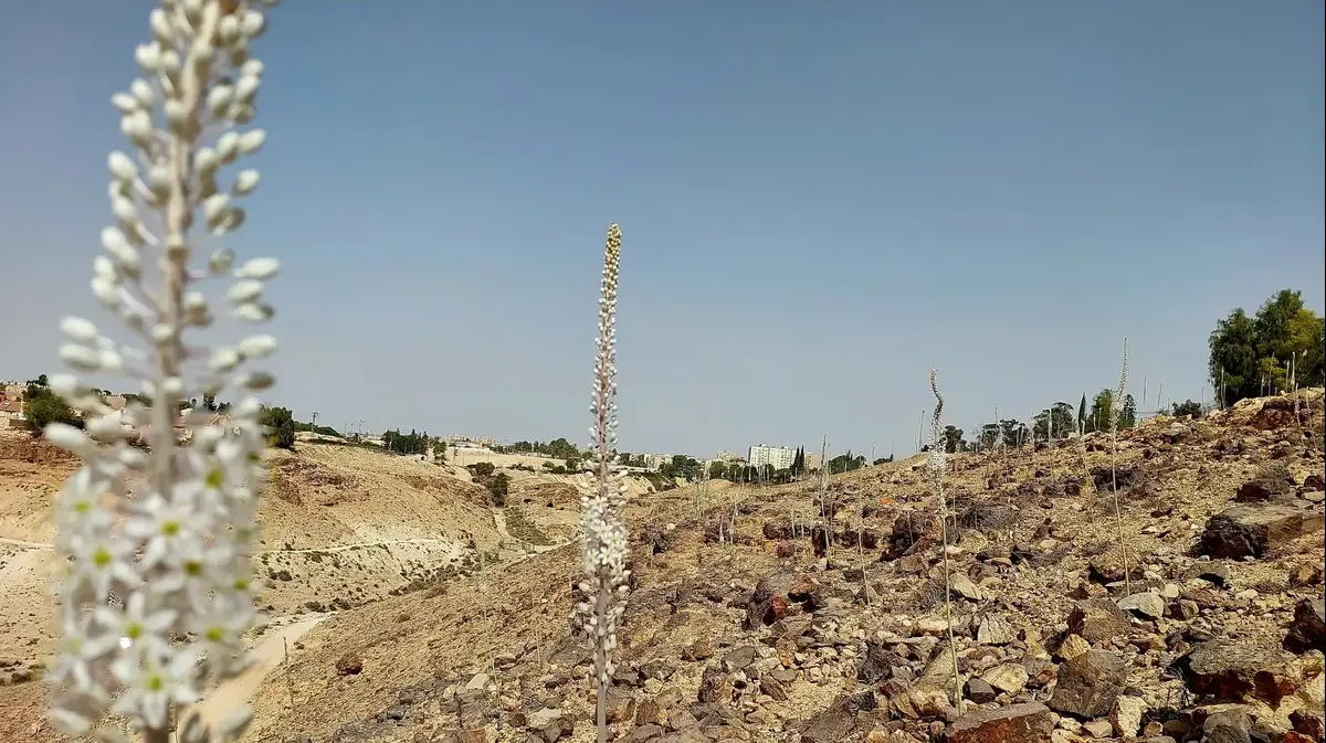 נחל טביה: טיול סתיו בין נוף הרי מואב לחצב - וואלה תיירות