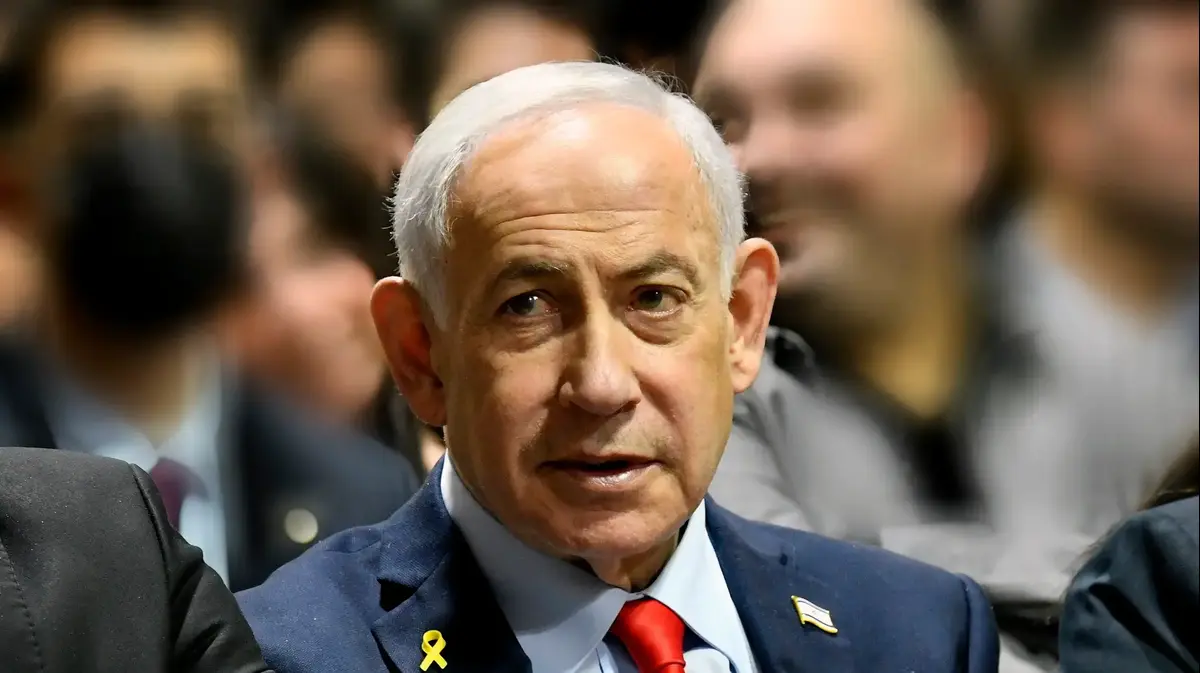 זיני חושב מחוץ לקופסא – אבל אחיו חושב מחוץ לפאקט – וואלה חדשות