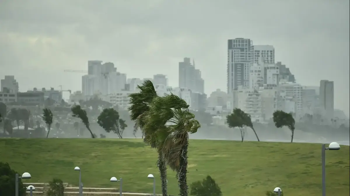הסופה עדיין כאן: שלג ברמת הגולן, שטפונות במדבר יהודה וגשמים ברחבי הארץ – וואלה...