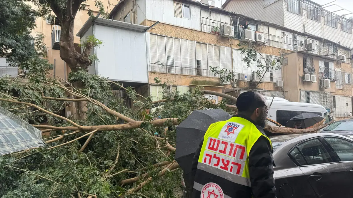 מזג אוויר סוער ברחבי הארץ: עצים קרסו על רכבים בבני ברק ובאשקלון – ופצעו נהגים |...