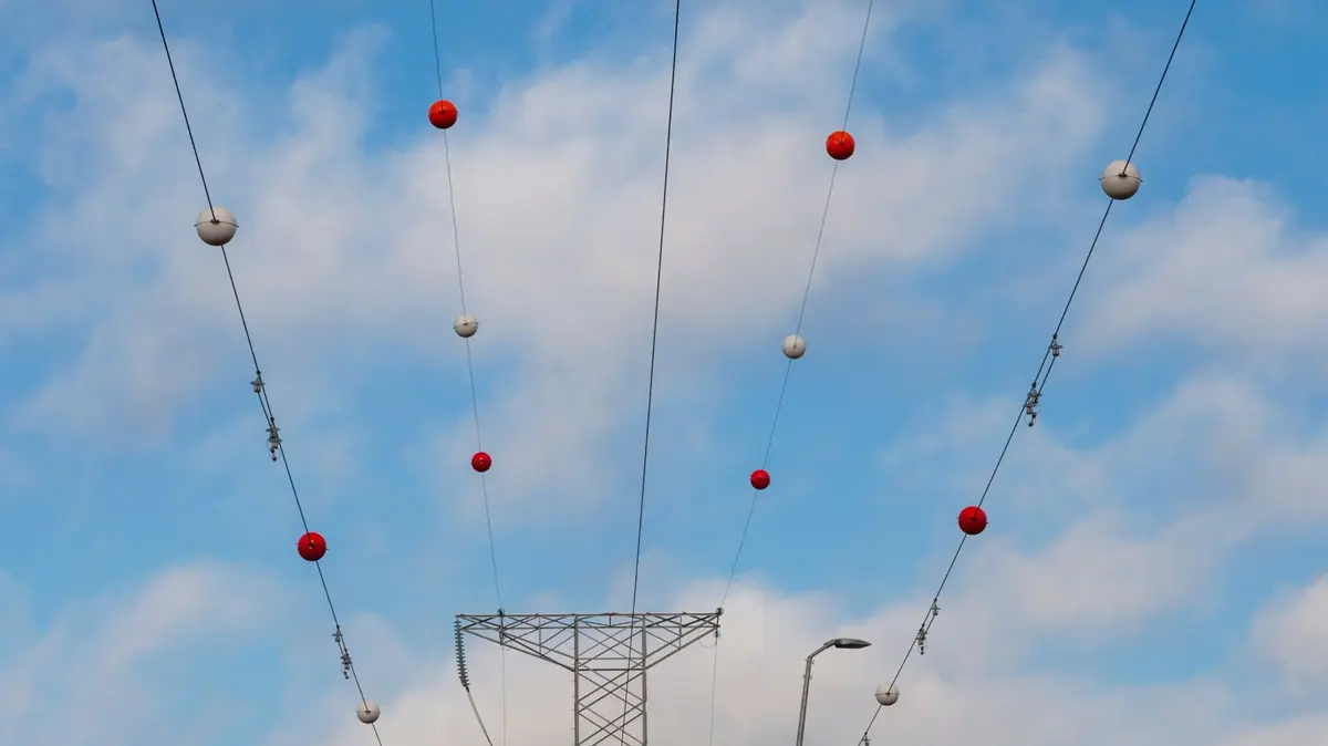 תעלומת הכדורים הצבעוניים: מה באמת התפקיד שלהם על חוטי החשמל?