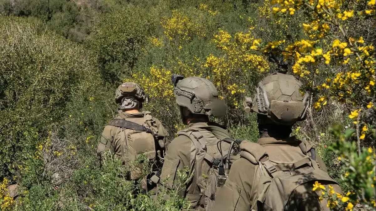 מפנה אסטרטגי או שקיעה בבוץ? צה”ל על קו פרשת המים בלבנון – וואלה חדשות