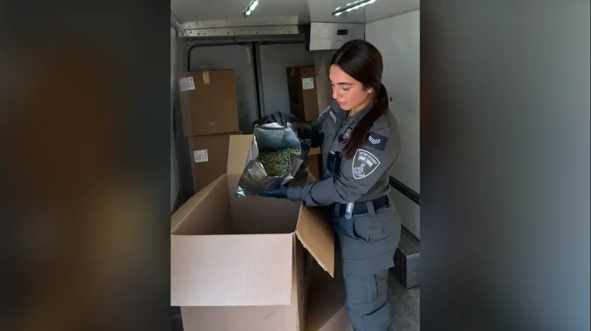 הפשיטה שהסתיימה בתפיסת ענק: כמעט חצי טון קנאביס נמצא במשק במרכז הארץ