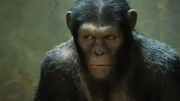 Rise of the Planet of the Apes