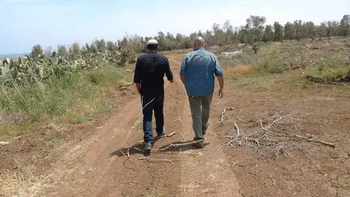 אודי דוידי עם שלומי שבת