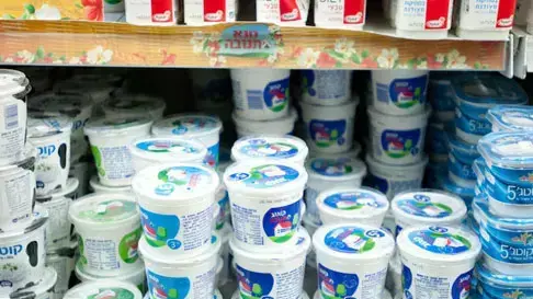 גבינת קוטג'