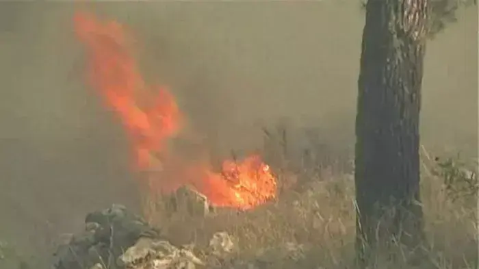 שריפת ענק משתוללת בבירה, "יד ושם" פונה