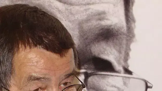 גינטר גראס