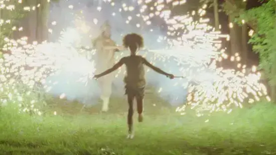 Beasts of the Southern Wild