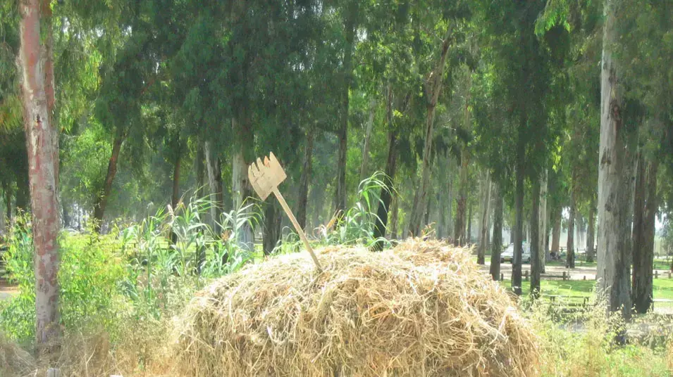 עגלה עם חציר וקלשון