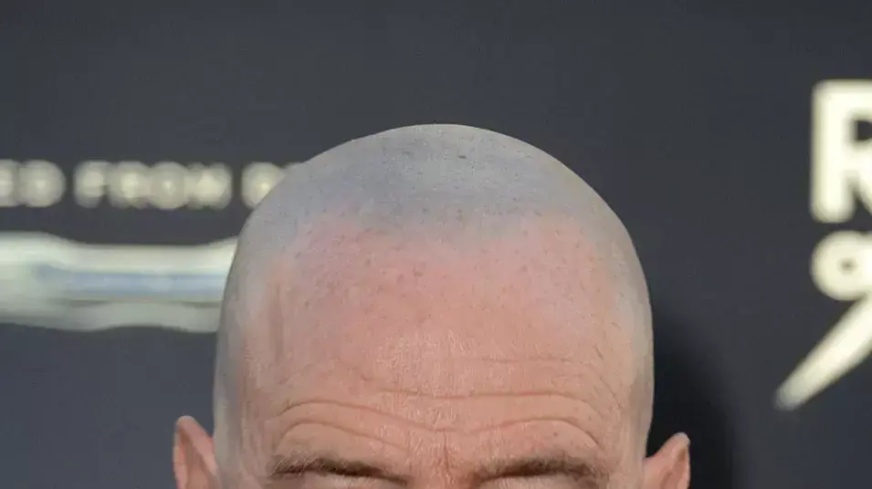 בריאן קרנסטון